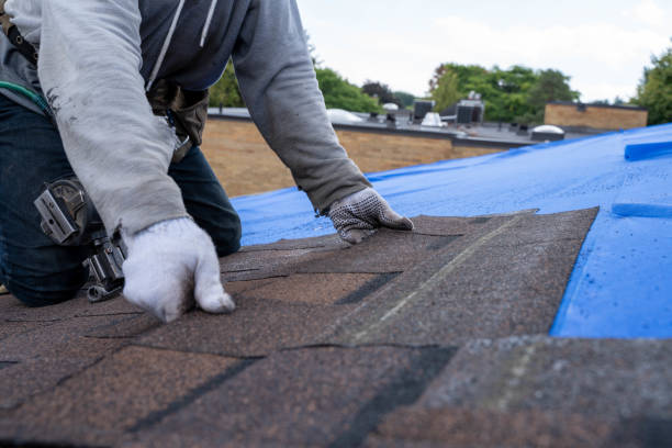 Best Metal Roofing Contractor  in Darmstadt, IN
