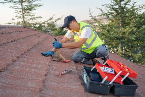 Best Storm Damage Roof Repair  in Darmstadt, IN