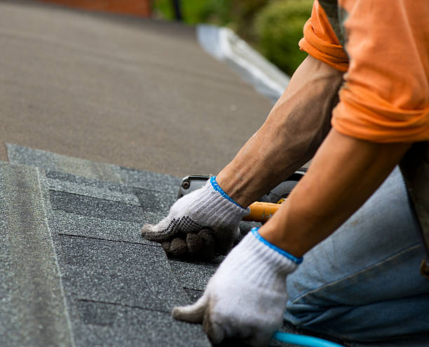 Best Flat Roof Repair Services  in Darmstadt, IN
