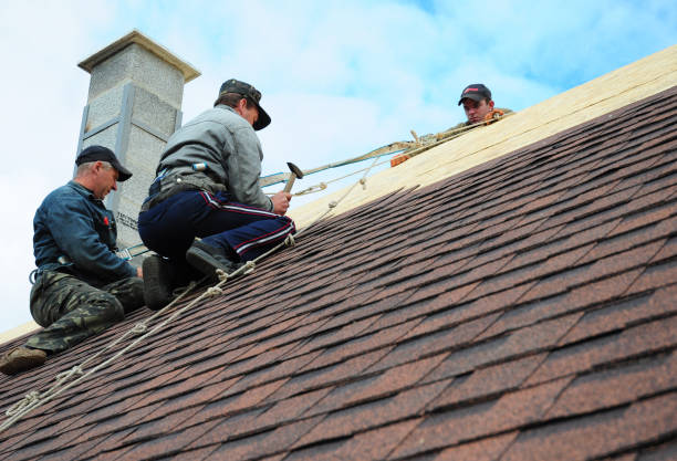 Best Residential Roof Replacement  in Darmstadt, IN