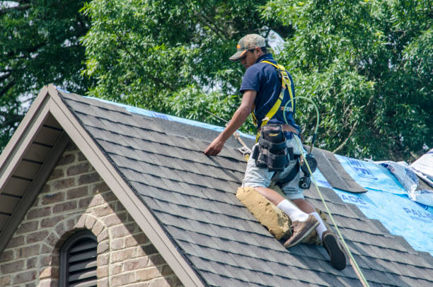 Best Roof Leak Repair  in Darmstadt, IN
